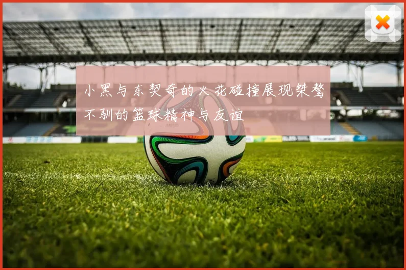 小黑与东契奇的火花碰撞展现桀骜不驯的篮球精神与友谊