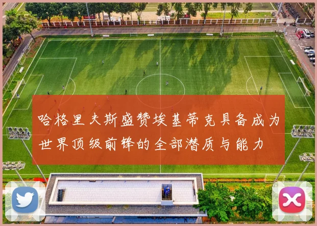 哈格里夫斯盛赞埃基蒂克具备成为世界顶级前锋的全部潜质与能力