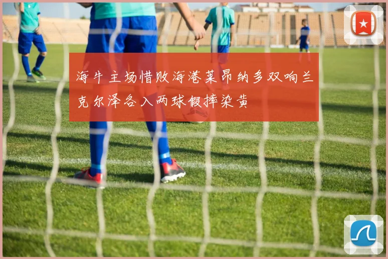 海牛主场惜败海港莱昂纳多双响兰克尔泽各入两球假摔染黄