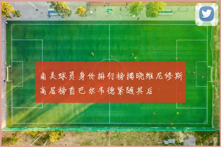 南美球员身价排行榜揭晓维尼修斯高居榜首巴尔韦德紧随其后
