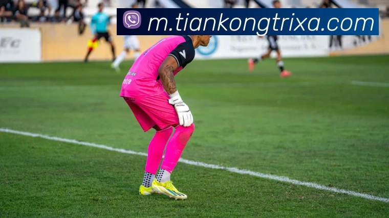 天空体育服务体系